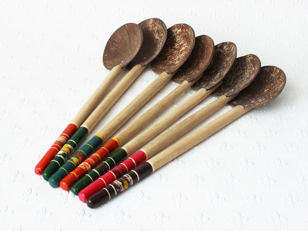 Coconut shell spoons, large; slim lacquered handles - 5 colours
