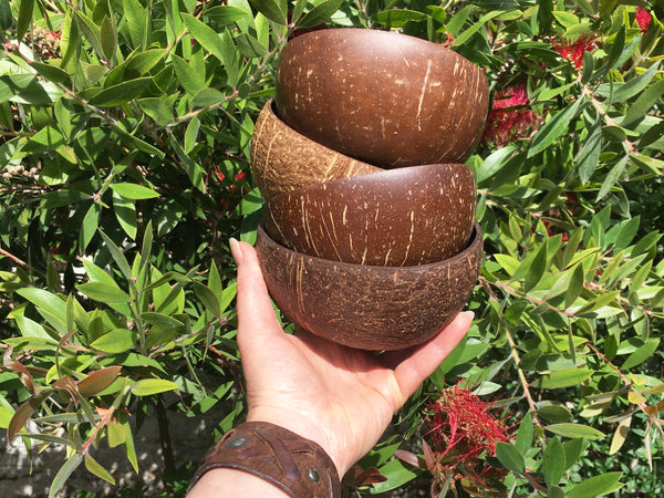 Coconut shell bowls - smooth; 3 sizes