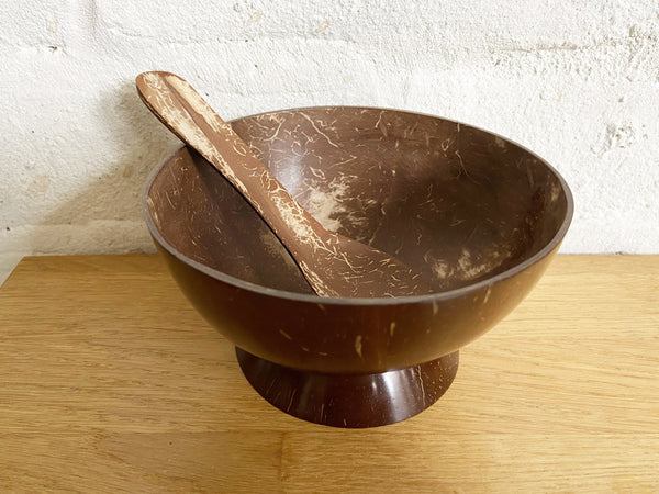 Coconut shell serving bowl & spoon
