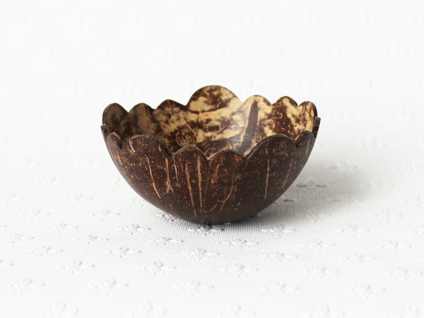 coconut shell soap dishes