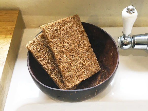 Coconut fibre scourers - pair