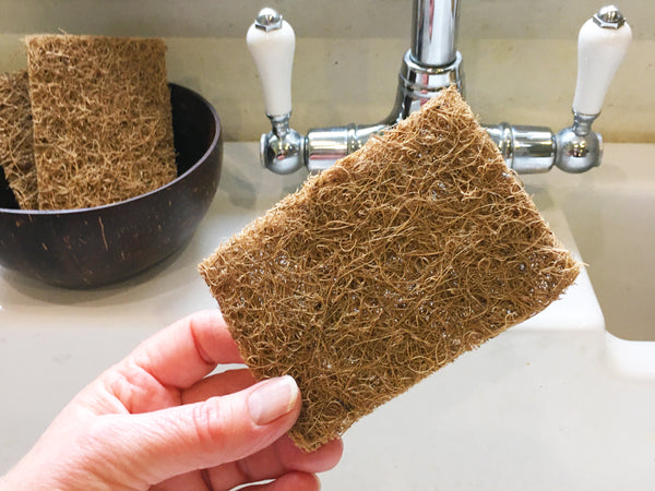 Coconut fibre scourers - pair