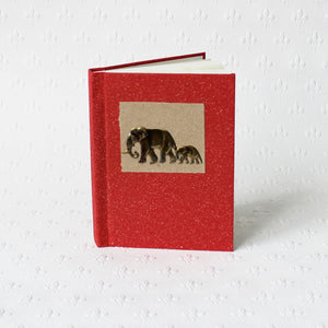 Notebooks made from elephant dung paper